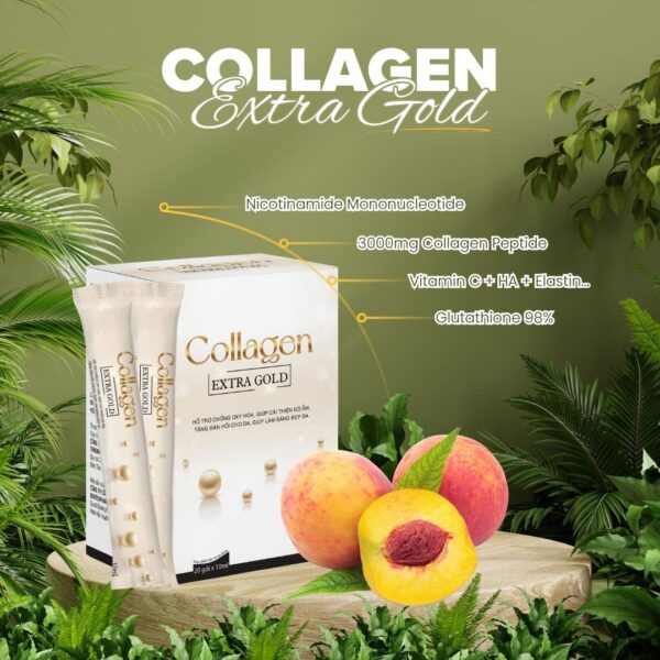 Hộp 20 gói nước uống Collagen Extra Gold 10ml hỗ trợ mờ nám, chống lão hóa và làm trắng da - Ảnh 3