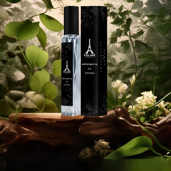 Nước hoa nam Antoinette De Homme cao cấp, chính hãng, thơm lâu - Ảnh 3
