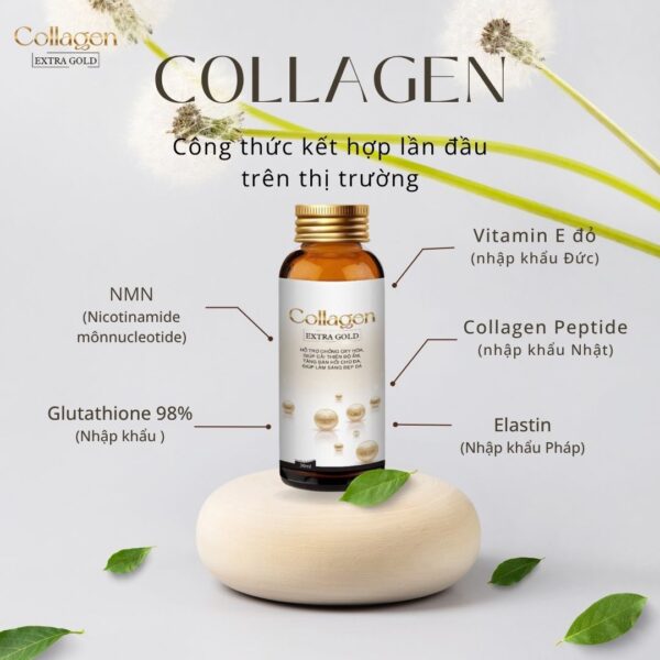 Hộp 12 chai nước uống Collagen Extra Gold 30ml hỗ trợ mờ nám, chống lão hóa và làm trắng da - Ảnh 4